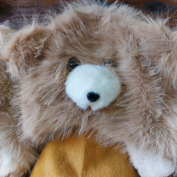 کاملا یه خرسی خوشگله