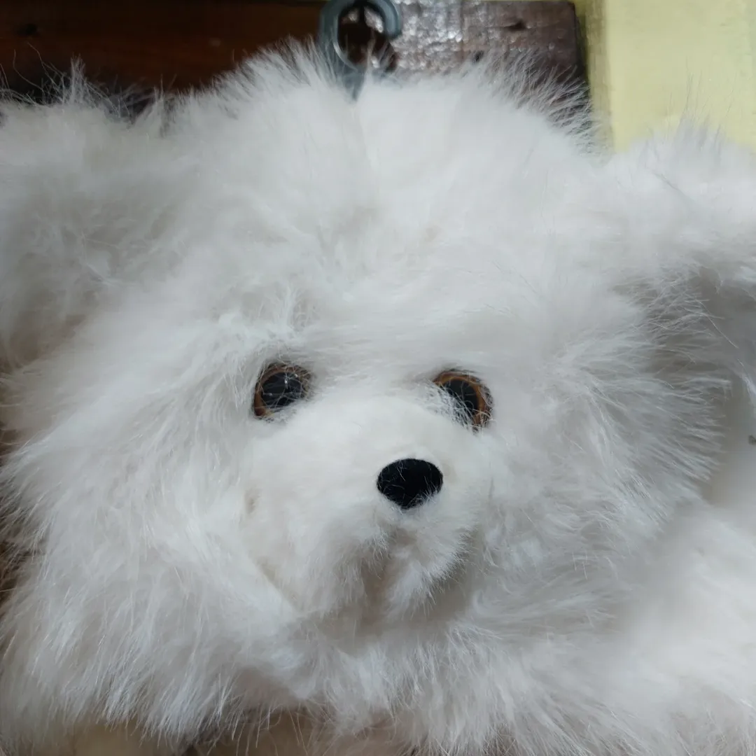 هر رنگش یه جور قشنگه